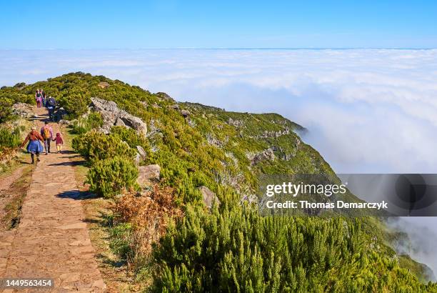 madeira - pico ruivo stock pictures, royalty-free photos & images