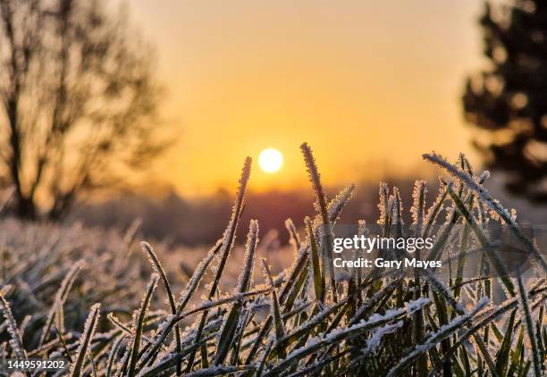 frosty winter morning sunrise - geada imagens e fotografias de stock