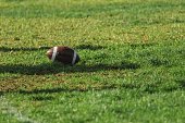 Gridiron ball, also called a pigskin, on the green grass.