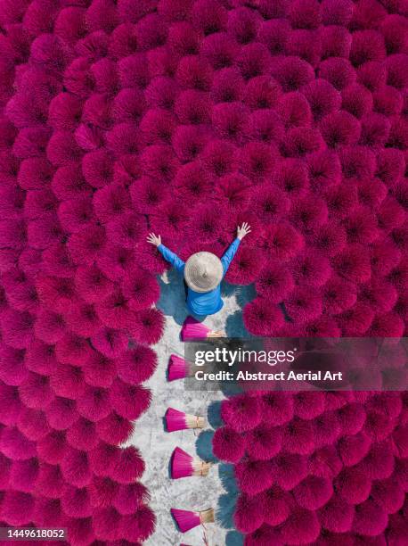 drone image directly above a vietnamese woman organising bundles of drying incense, hanoi, vietnam - vietname imagens e fotografias de stock