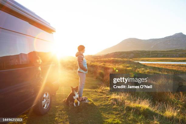 lone female and her dog looking out at landscape next to her campervan - daily life in ireland stock-fotos und bilder