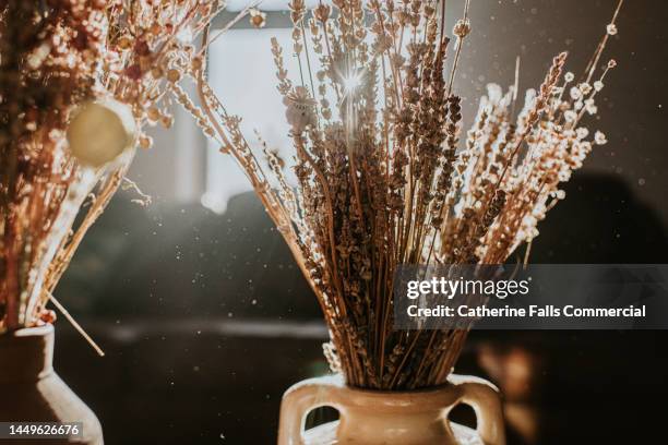 a vase of dried flowers in backlit in front of a window - flowers bouquet stock pictures, royalty-free photos & images