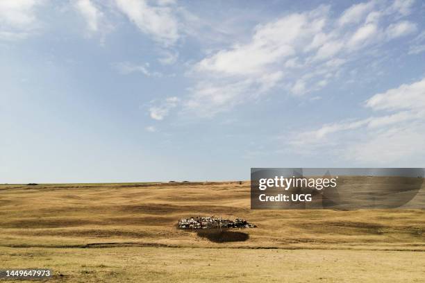 Romania. Surroundings of Iasi.