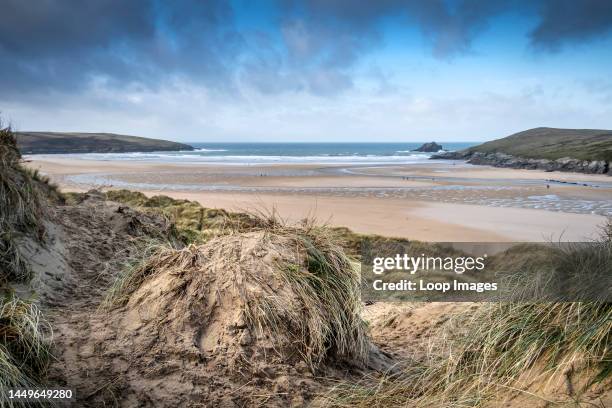 View over the award winning Crantock Beach from the fragile delicate sand dune system at Crantock Beach in Newquay in Cornwall.