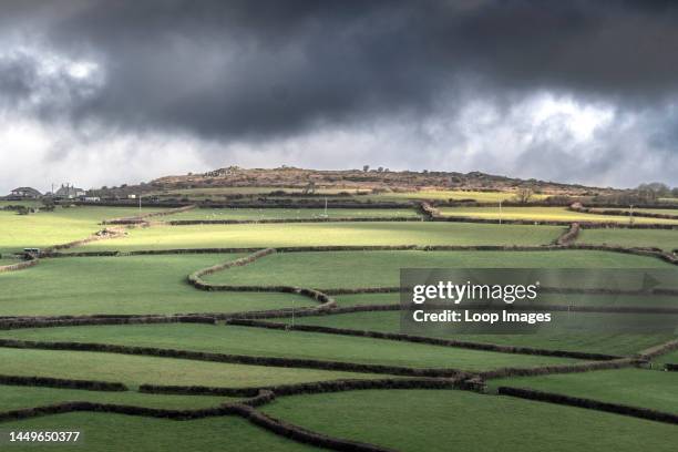 Traditional Cornish hedges on farmland on Bodmin Moor in Cornwall.