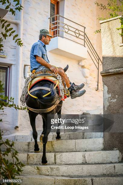 Mule driver delivering wood in Ano Syros.