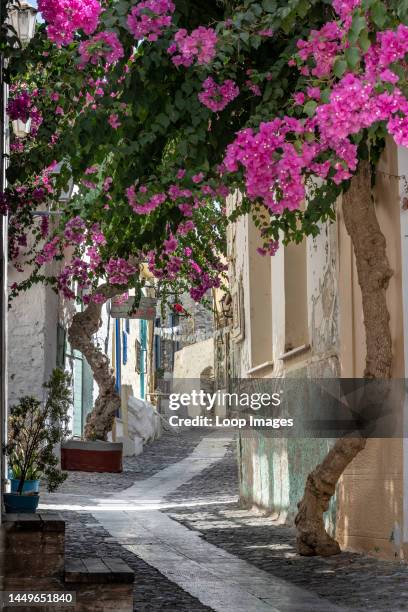 Backsreets of Ano Syros.