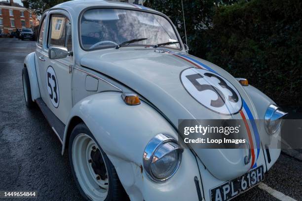 Beetle with competition numbers.