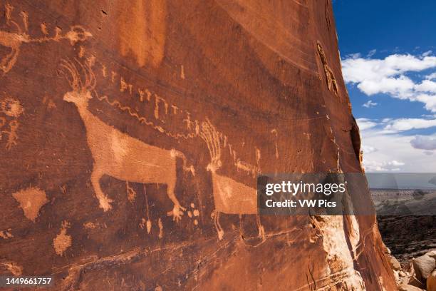 The Procession Panel, an ancient Native American petroglyph panel in Comb Ridge, Bears Ears National Monument, Utah. It is 15-feet long, showing 179...