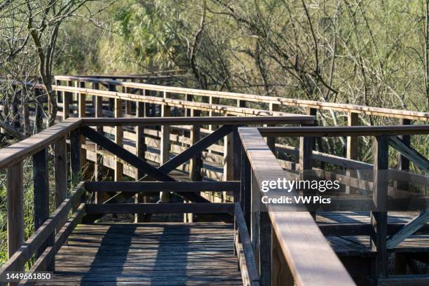 Wooden walkway over a resaca in the Sabal Palm Sanctuary, Brownsville, Texas. The sanctuary is a popular birding site.