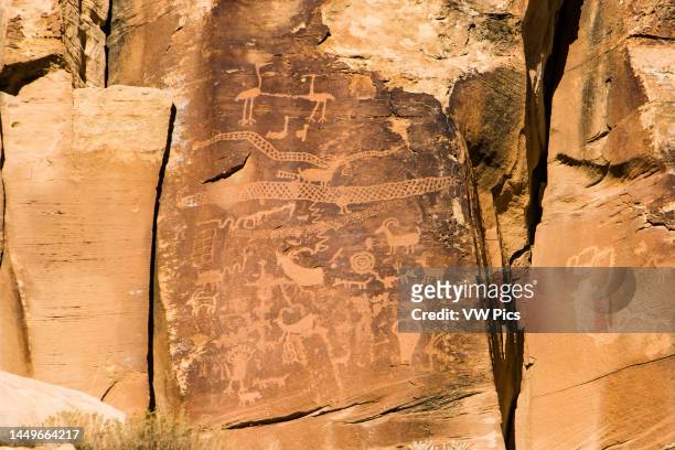 The Sandhill Crane petroglyph panel in Nine Mile Canyon in Utah depicts two large horned snakes as wella as the cranes. Nine Mile Canyon contains...