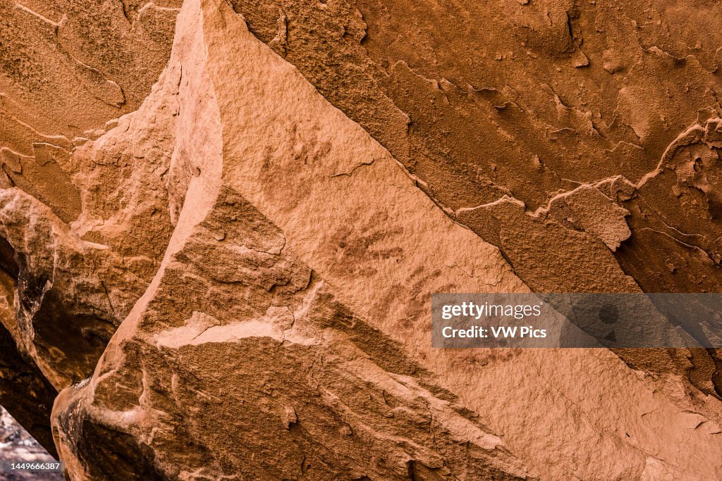 1000-year old handprints on a ledge in a remote canyon in the Bears Ears National Monument in southeastern Utah