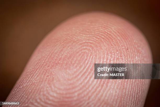 finger fingerprint - printmaking technique stock-fotos und bilder