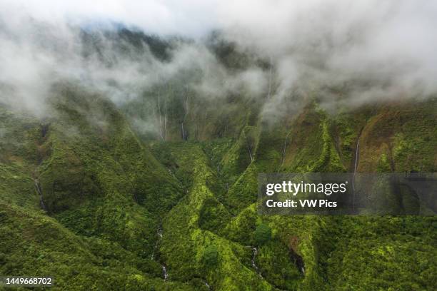 263,421 Jungle Photos and Premium High Res Pictures - Getty Images 263,421 Jungle Photos and Premium High Res Pictures - Getty Images