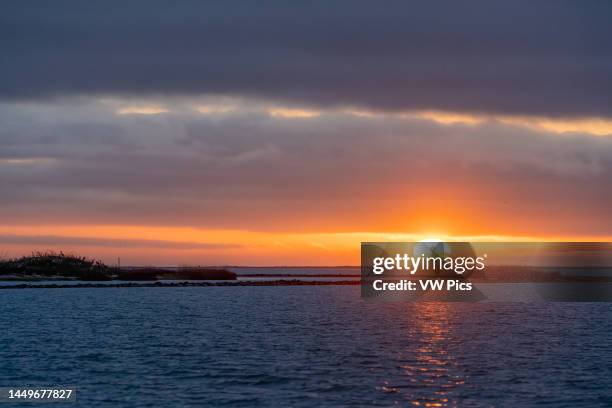 Sunrise over the Aransas National Wildlife Refuge near Rockport, Texas. At left is a flock of Great Blue Herons in silhouette.