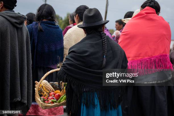 Indigenous woman carries a basket with native foods from the region, Ipiales, Nariño..
