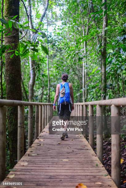Young caucasian adventurous woman exploring Manuel Antonio National Park in Costa Rica.