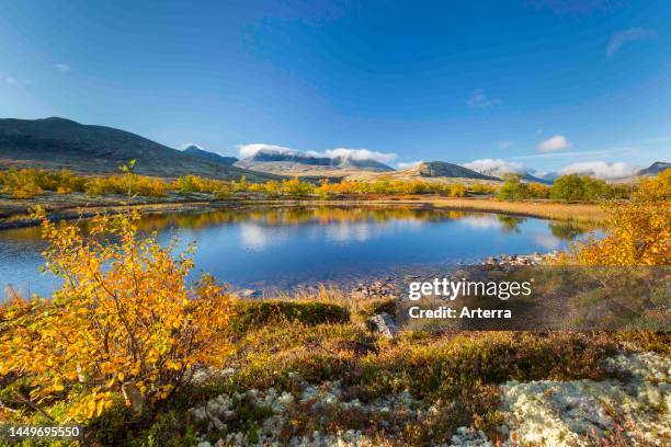 The mountains Hogronden and Digerronden reflected in water of lake in autumn, Doraldalen in Rondane National Park, Innlandet county, Oppland, Norway.