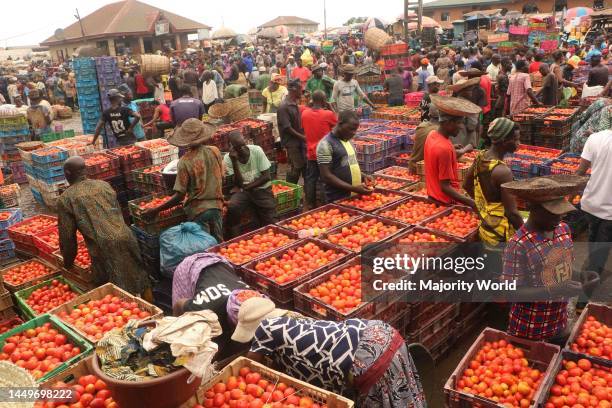 Nigerian people buying and selling tomatoes at the famous tomato market. Lagos, Nigeria.