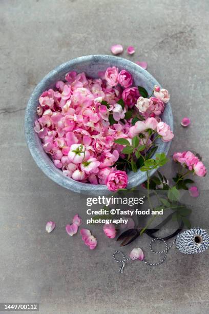 pink rose petals for cooking jam - rose petal stock pictures, royalty-free photos & images