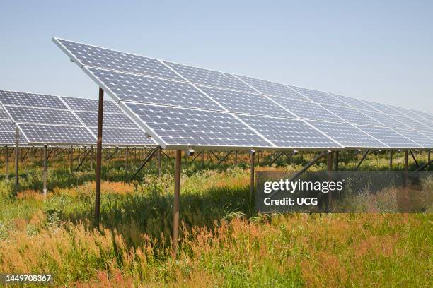 Solar Panels. Solar Power Plant. Area of Vulci. Province of Viterbo. Lazio. Italy. Europe Pannelli Solari. Centrale Elettrica A Pannelli Solari. Zona...