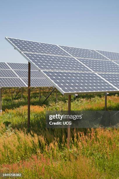 Solar Panels. Solar Power Plant. Area of Vulci. Province of Viterbo. Lazio. Italy. Europe Pannelli Solari. Centrale Elettrica A Pannelli Solari. Zona...