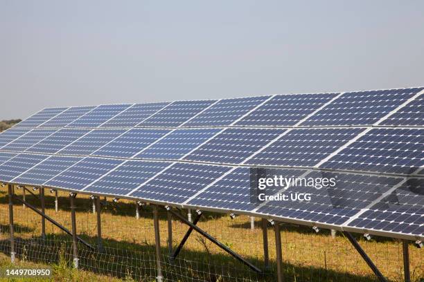 Solar Panels. Solar Power Plant. Area of Vulci. Province of Viterbo. Lazio. Italy. Europe Pannelli Solari. Centrale Elettrica A Pannelli Solari. Zona...