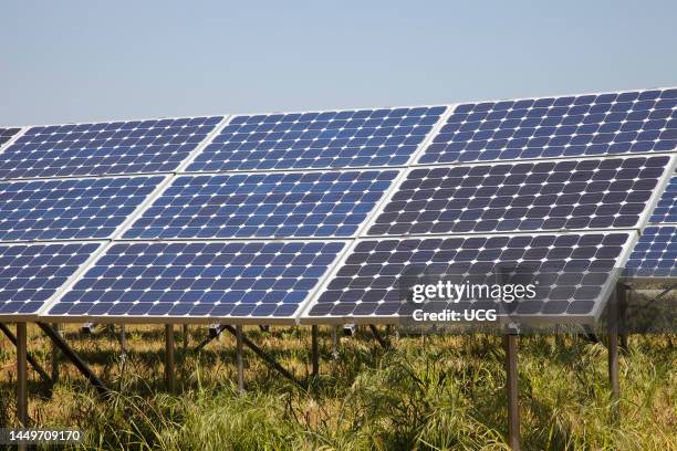 Solar Panels. Solar Power Plant. Area of Vulci. Province of Viterbo. Lazio. Italy. Europe Pannelli Solari. Centrale Elettrica A Pannelli Solari. Zona...