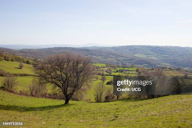 Countryside. Scansano. Province of Grosseto. Tuscany. Italy. Europe Campagna. Scansano. Provincia di Grosseto. Toscana. Italia. Europa.