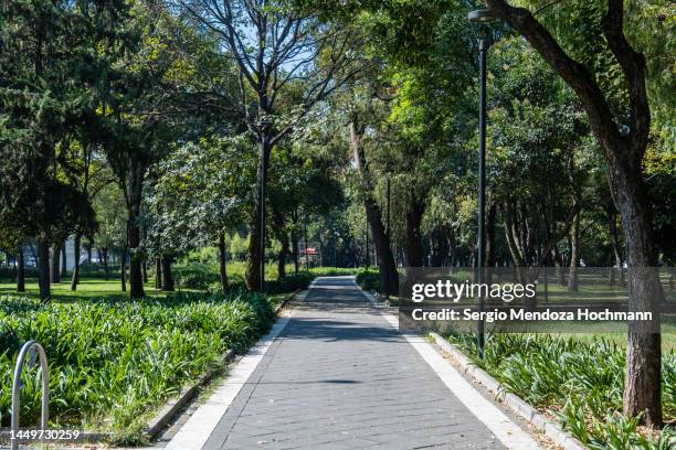 a beautiful public park in the polanco zone of mexico city, mexico - bosque de chapultepec stock-fotos und bilder