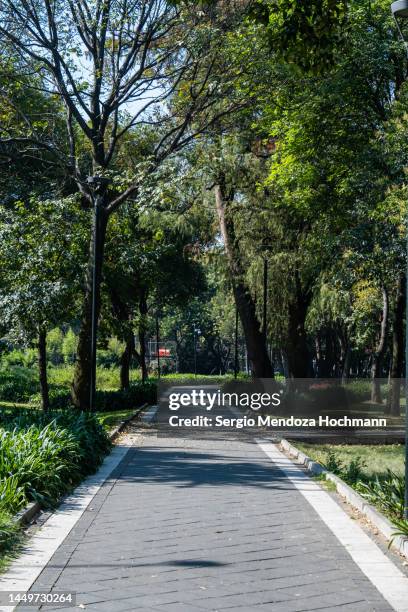 a beautiful public park in the polanco zone of mexico city, mexico - chapultepec park - fotografias e filmes do acervo