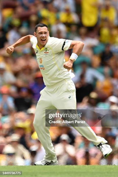 Scott Boland of Australia celebrates taking the wicket of Khaya Zondo of South Africa for a duck during day one of the First Test match between...