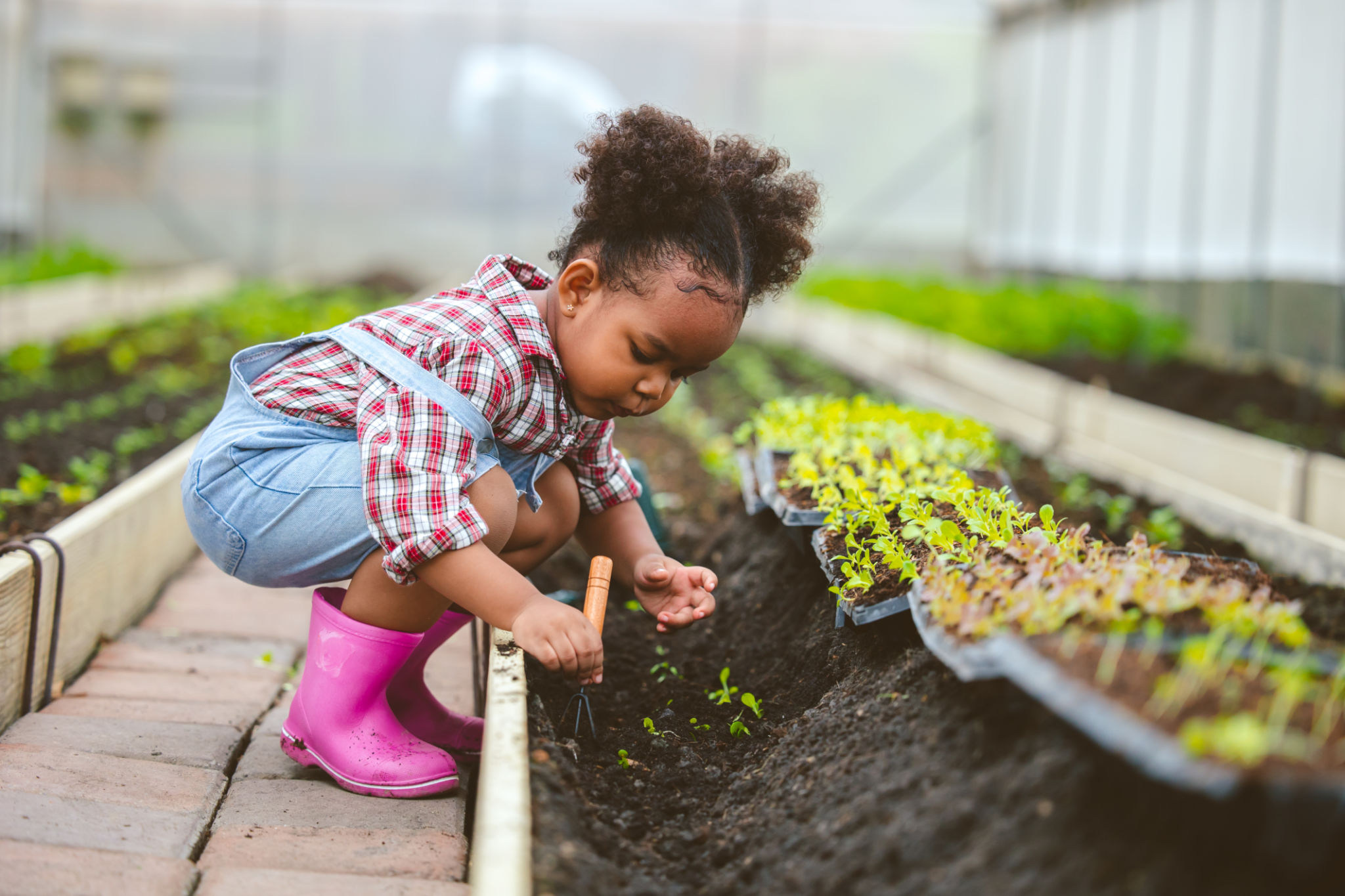spring gardening children