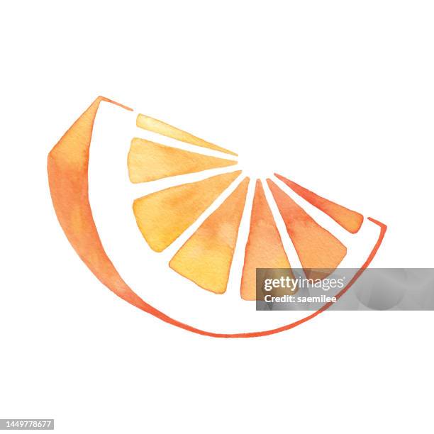 waterolor orange drawing - grapefruit essential oil stock illustrations