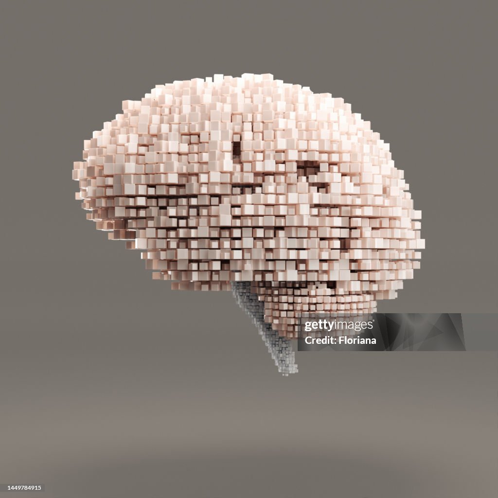 Digital brain