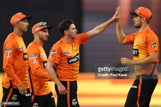 Jhye Richardson of the Scorchers celebrates the wicket of Hayden Kerr of the Sixers during the Men's Big Bash League match between the Perth...