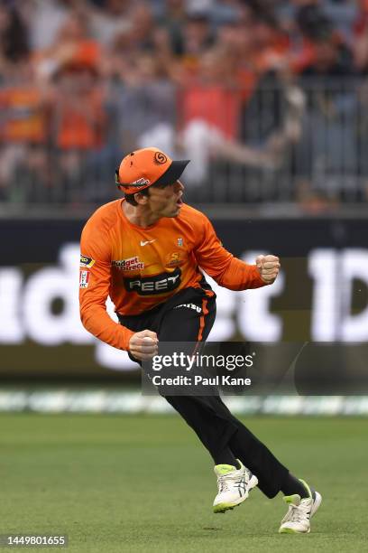Nick Hobson of the Scorchers celebrates after taking a catch to dismiss Hayden Kerr of the Sixers during the Men's Big Bash League match between the...