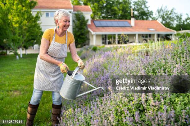 a senior woman is using a watering can - the roof gardens stock pictures, royalty-free photos & images