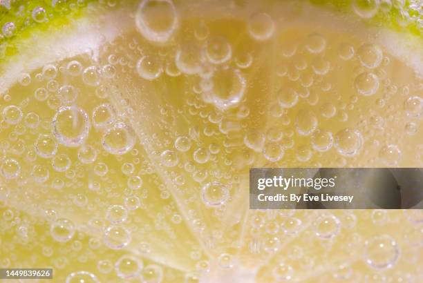 slice of lime in a gin and tonic - gin tasting stock pictures, royalty-free photos & images