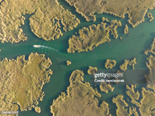 aerial view of dalyan delta - river island land formation stock pictures, royalty-free photos & images