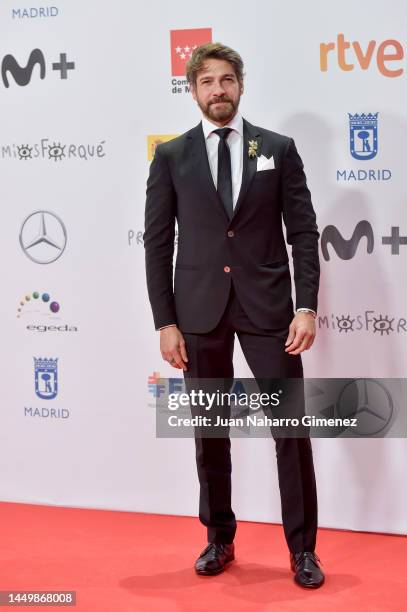 Felix Gomez attends the red carpet at the 28th Forque Awards at Palacio Municipal on December 17, 2022 in Madrid, Spain.