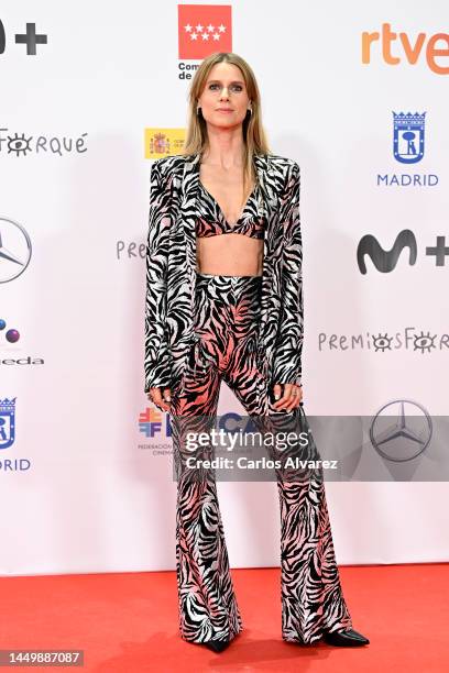 Manuela Velles attends the red carpet at the 28th Forque Awards at Palacio Municipal de IFEMA on December 17, 2022 in Madrid, Spain.