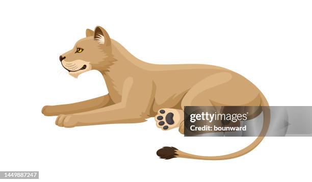 lioness lying. flat design. - lying down side view stock illustrations