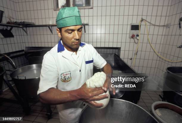 Preparation of Provolone del Monaco cheese, Russo dairy, Vico Equense, Campania, Italy.