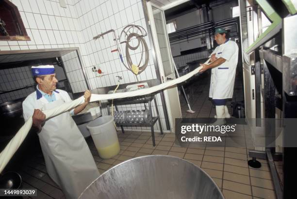 Preparation of Provolone del Monaco cheese, Russo dairy, Vico Equense, Campania, Italy.