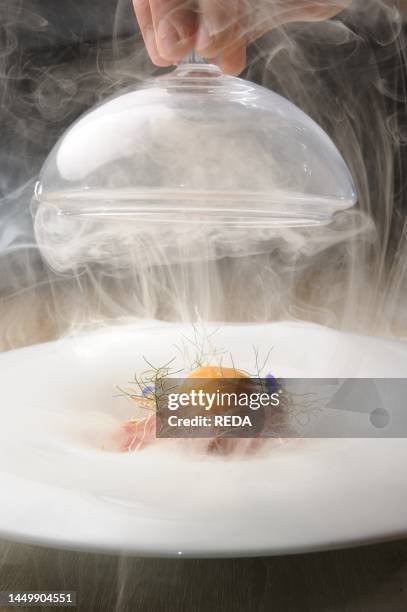 Tuna tartare, smoked egg yolk and burnt onion broth, Tartare di tonno, tuorlo affumicato e brodo di cipolla bruciata, by chef Stefano Deidda,...