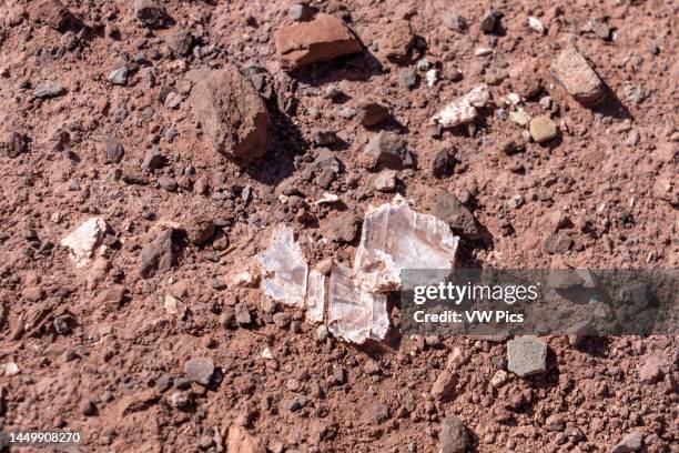 Silica crystals on the ground in the Valle del Arcoiris or Rainbow Valley near San Pedro de Atacama, Chile.