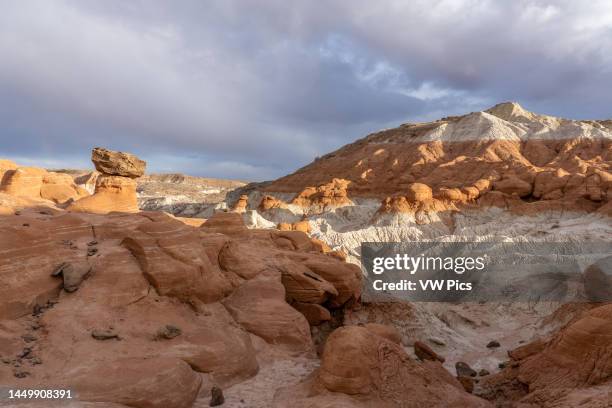 Sandstone hoodoos, Toadstools area, Paria Rimrocks, Grand Staircase-Escalante National Monument, Utah. This hoodoo is an Entrada Sandstone pillar...