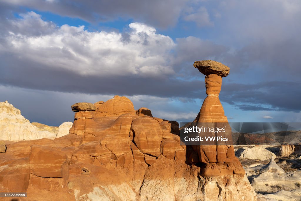 How Are Rim Rocks Made The Red Hoodoo or Toadstool Hoodoo, Paria Rimrocks, Grand... News Photo ...