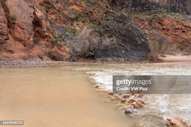 Lichens on eroded sandstone along the Virgin River in southern Utah.